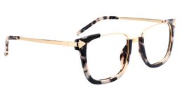 Ahern Square Tortoise Glasses2