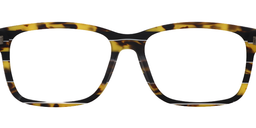 Alston Rectangle Gold Tortoise Glasses5