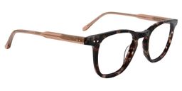 Addams Square Tortoise Glasses2