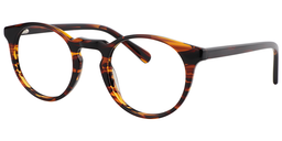 Anthony Round Tortoise Glasses2