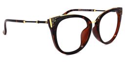 Dalton Cat Eye Tortoise Glasses2