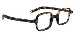 Xavia Square Light Tortoise Glasses2