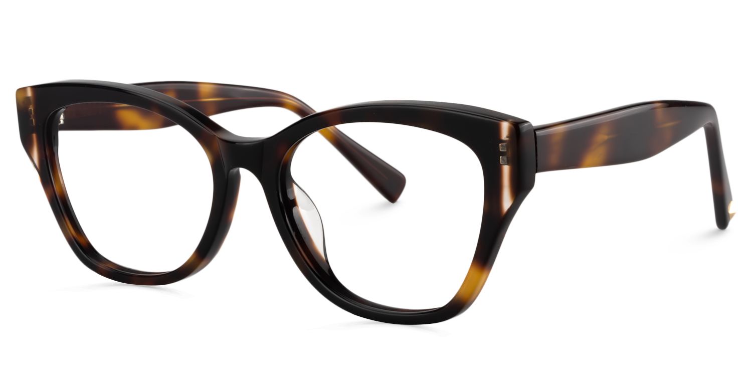 Square Tortoise Glasses | Zeelool Glasses3
