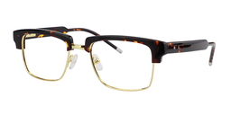 Caldwell Rectangle Tortoise Glasses2