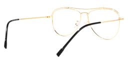 Terica Aviator Black-Gold Glasses3