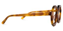 Menin Geometric Tortoise Glasses2