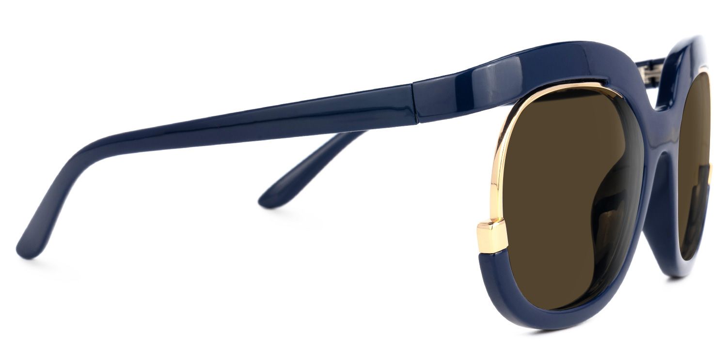 Darice Dark-Blue Frame Sunglasses with Round Style | ZEELOOL CA2
