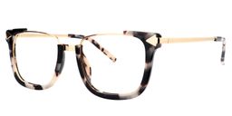Ahern Square Tortoise Glasses3