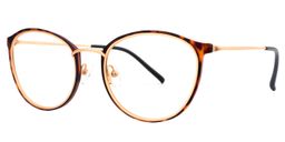 Aldrich Round Tortoise Glasses2