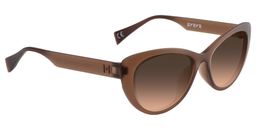 Campbell Cateye Brown Sunglasses3