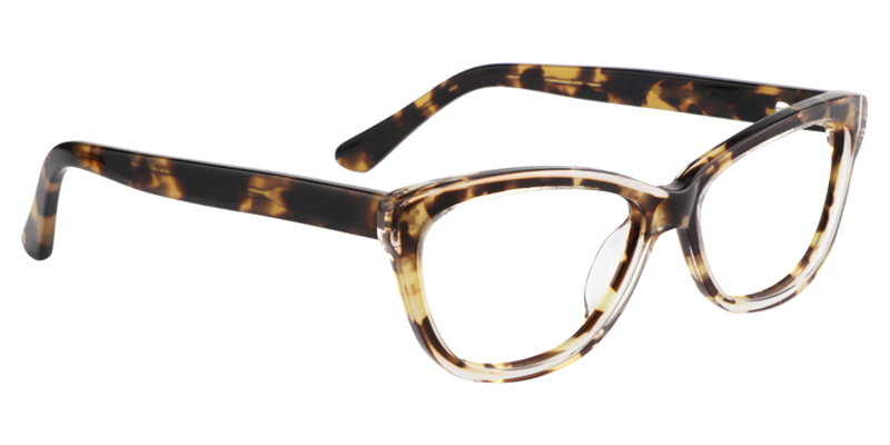  Cat EyeTortoise Glasses4