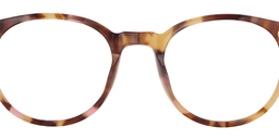 Kimberley Oval Purple Tortoise Glasses4
