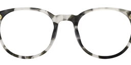 Kimberley Oval Green Tortoise Glasses5