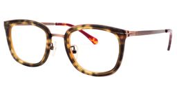 Angelo Square Tortoise Glasses 2