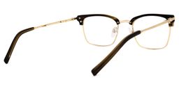 Simmons Browline Brown Glasses4
