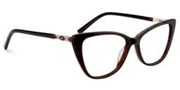 Candra Cat eye Brown Glasses2