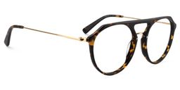 Carlota Aviator Tortoise Glasses3