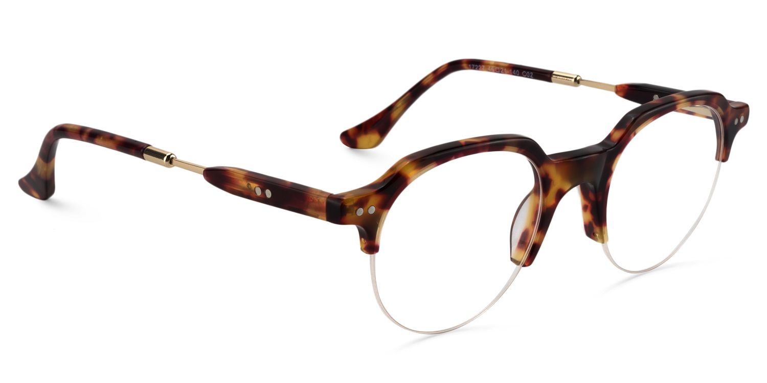 Round Tortoise Glasses | Zeelool Glasses3