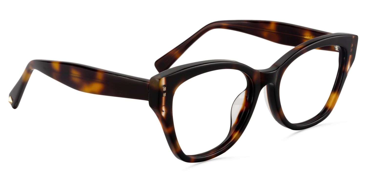 Square Tortoise Glasses | Zeelool Glasses2