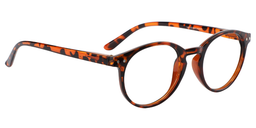 Hulda Oval Tortoise Reading Glasses3