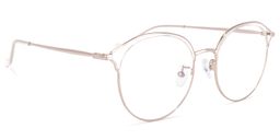 Edwards Geometric Rose-Gold Glasses2