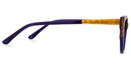 Eddie Cateye Dark-Purple Glasses5