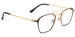 Amina Aviator Brown Titanium Glasses4