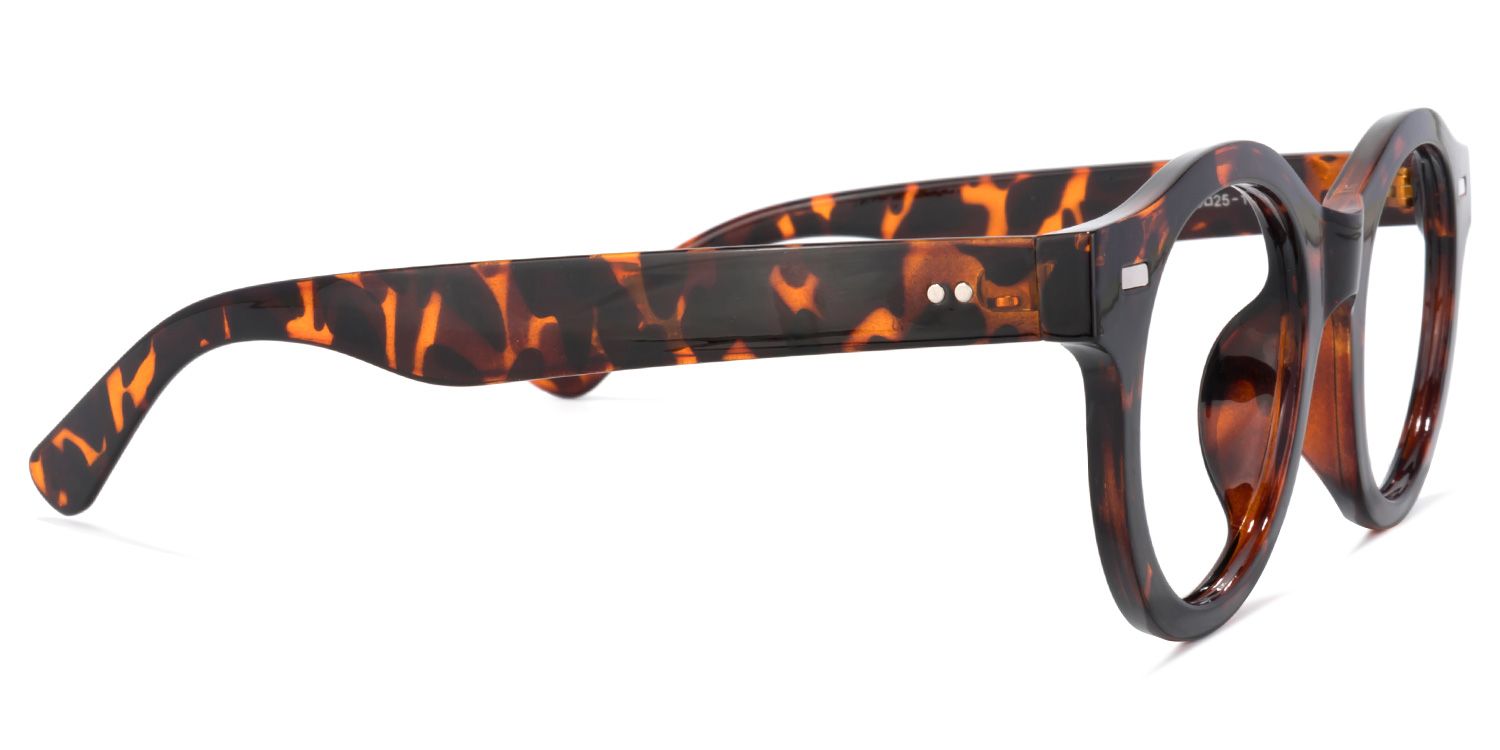 Buy Paxton Optical Glasses and EyeWear Frames on Zeelool3