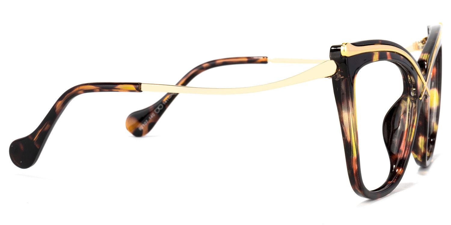 Buy Winston Optical Glasses and EyeWear Frames on Zeelool3