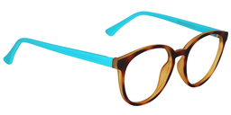 Robbie Round Gold Tortoise Glasses4