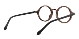 Fernando Round Brown Glasses5