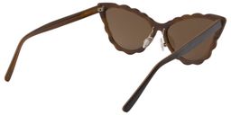 Xalvadora Cat eye Brown Sunglasses5
