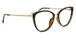 Agnew Cateye Tortoise Glasses2