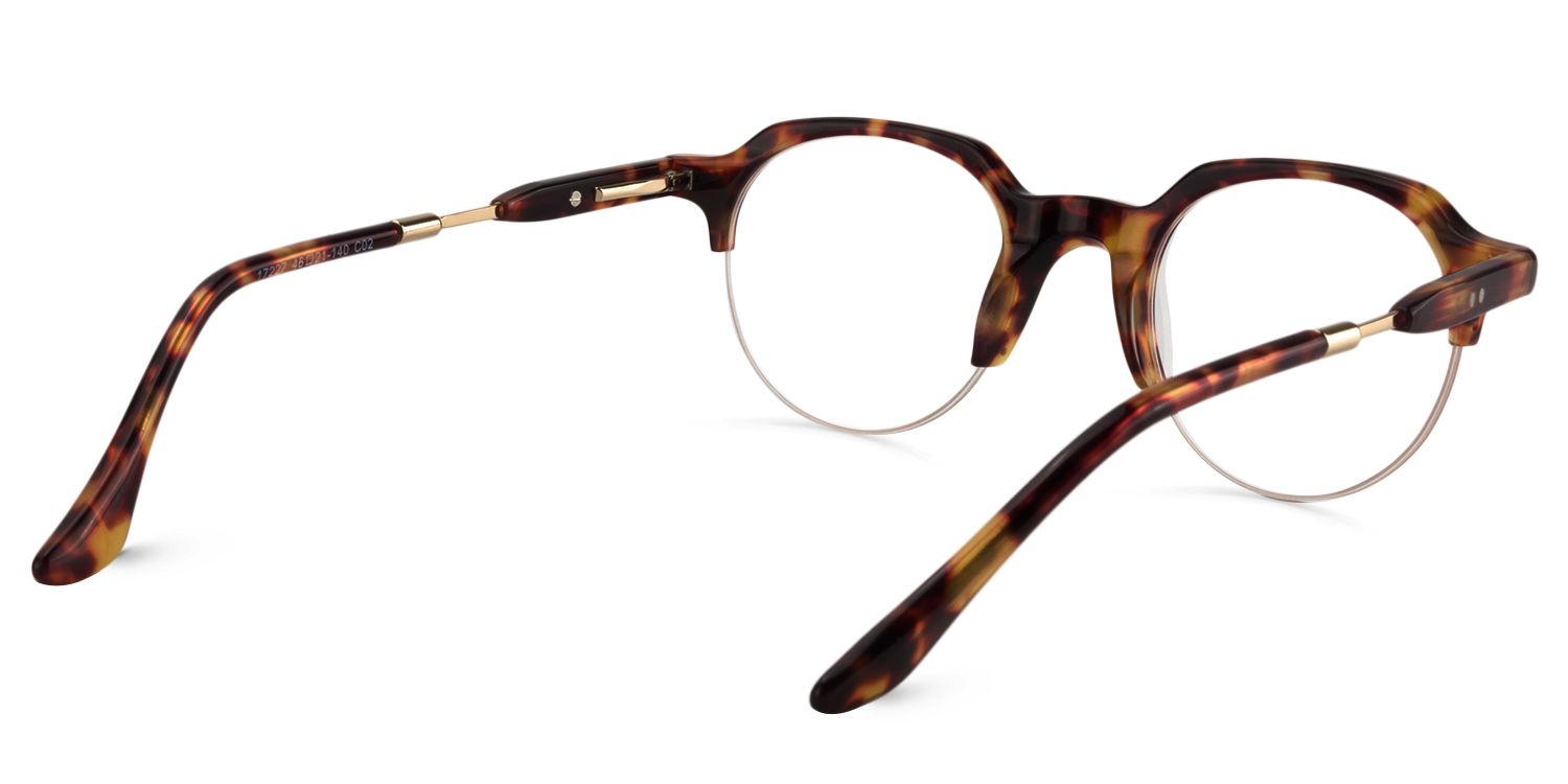Round Tortoise Glasses | Zeelool Glasses5