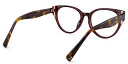 Carroll Oval Dark Red Glasses5