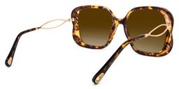 Hanley Geometric Tortoise Sunglasses4