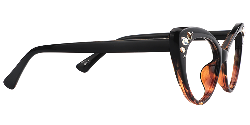 Cat Eye Tortoise Glasses6