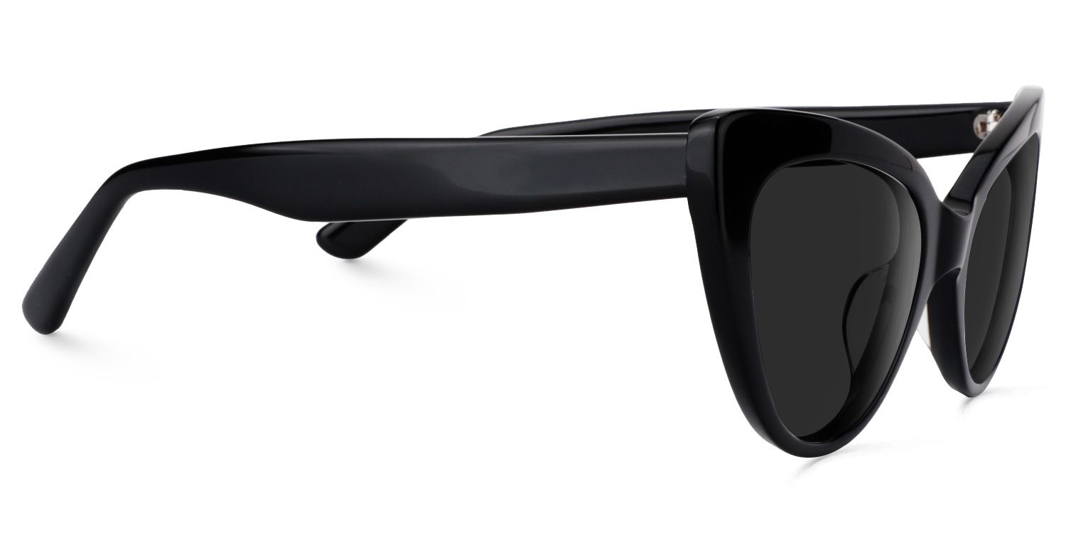 Claudette Frame Sunglasses | ZEELOOL CA2