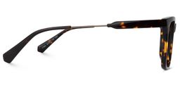 Darwin Rectangle Yellow-Tortoise Glasses3