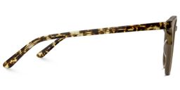 Donnelly Round Light Coffee Glasses3