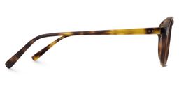 Donovan Geometric Tortoise Glasses3