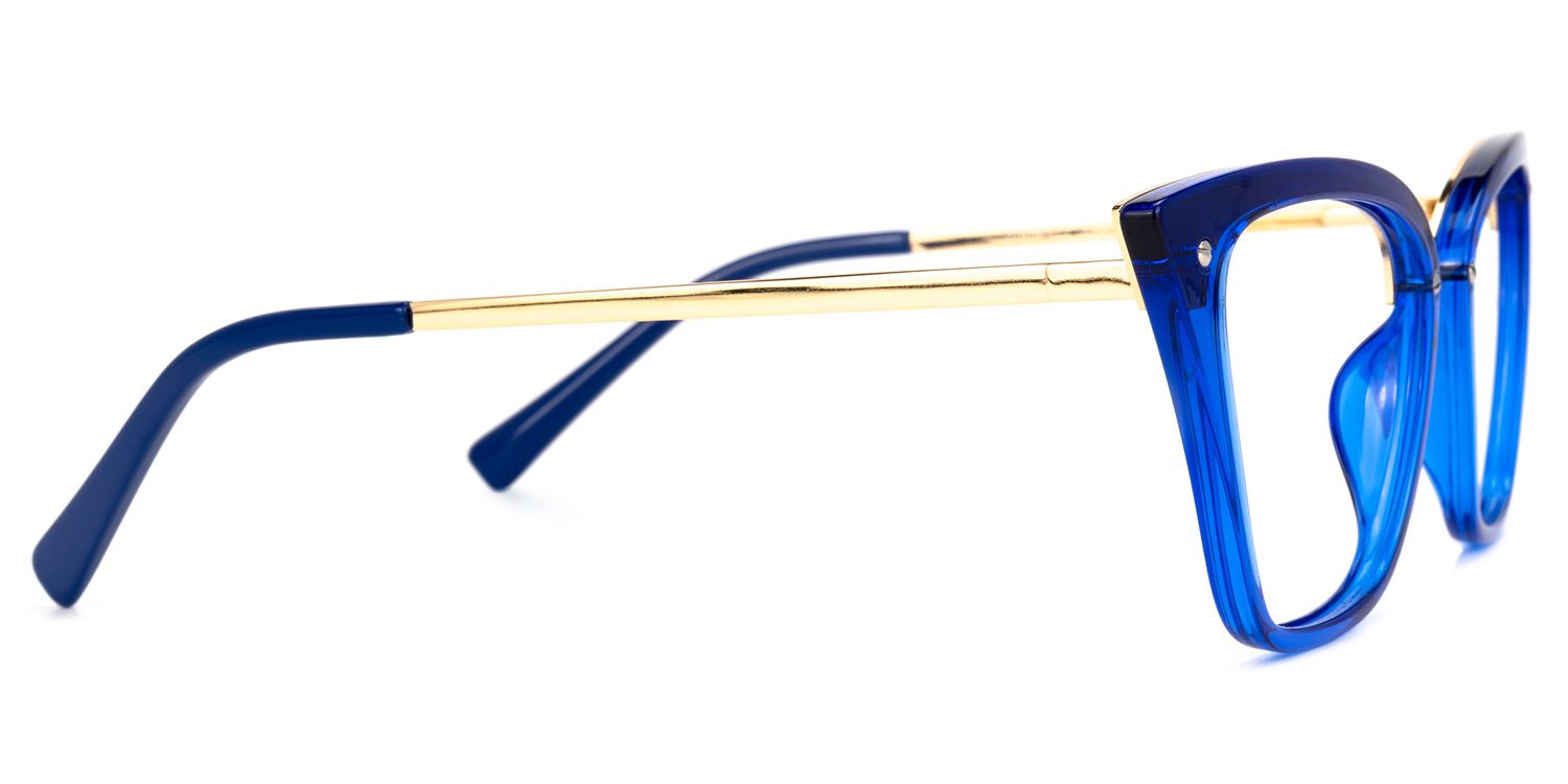 Buy Dionne Optical Glasses and EyeWear Frames on Zeelool2