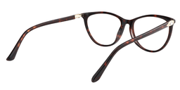 Imogene Oval Tortoise Glasses5