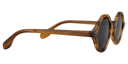 Sibyl Round Tortoise Sunglasses4
