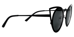Atwood Cat-eye Black Sunglasses4