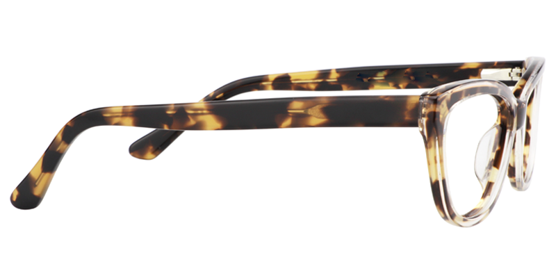  Cat EyeTortoise Glasses5