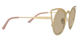 Atwood Cat-eye Gold Sunglasses4