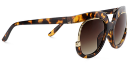 Sean Round Tortoise Sunglasses4