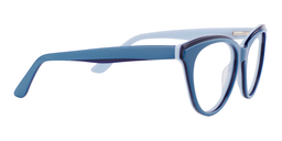 Aletta Cat Eye Blue Glasses4