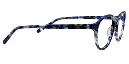 Adamson Oval Blue/Black Glasses4
